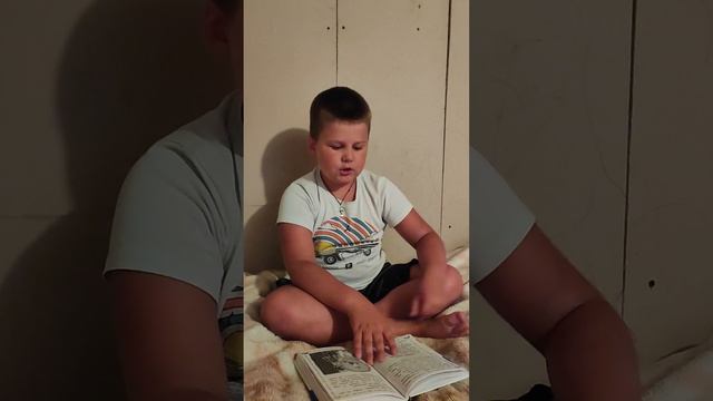 Видео обзор книги про дядю Фёдора и его друзей))