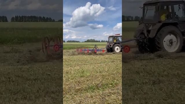 Грабли ворошилки ГВВ-6 (8 колес), формирование валка. Уборка 2023 смотреть онлайн