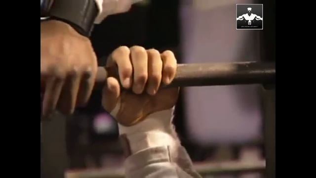 Kevin Levrone Chest Training Compilation Tribute - World Bodybuilder Workout смотреть онлайн