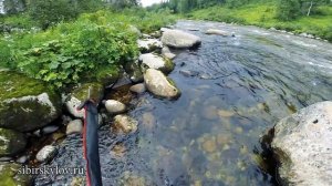 Ловля хариуса в Сибири на горной реке Бель-су. Великолепная природа