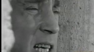 Владимир Семёнович Высоцкий, песня "Спасите наши души!"