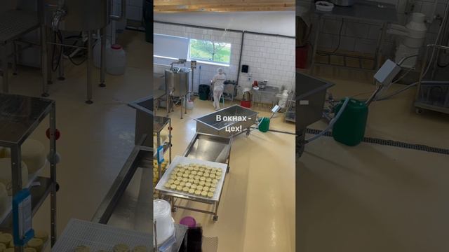 Сыроварня три в одном! Экопарк «ЗаАзяково» в Марий Эл смотреть онлайн