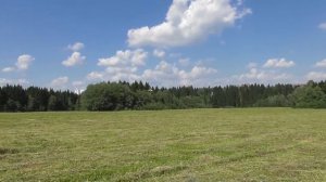 самолёт Cessna 182    (WLtoys f949)