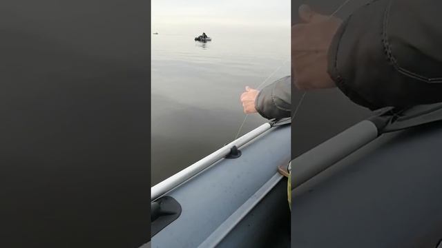 Финский залив. Март 2020г смотреть онлайн