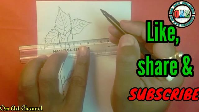 stem cutting of rose diagram|stem cutting of rose drawing|rose stem cutting diagram смотреть онлайн