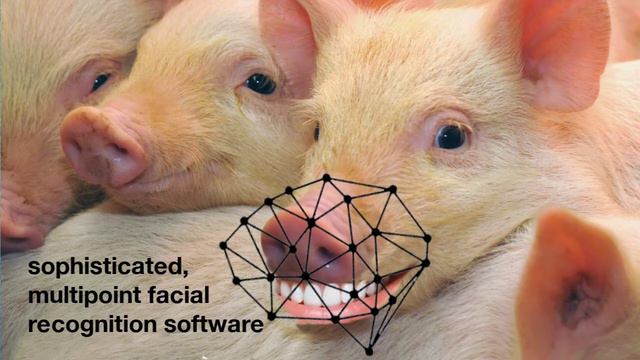 Doctor Ah! #1. How Online Courses Can Cheat You.