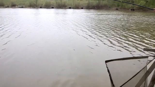 Поймали карпа на 10кг!!! Супер рыбалка! смотреть онлайн