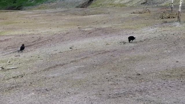 Нижний Новгород 800 лет. Экскурсия по кремлю смотреть онлайн