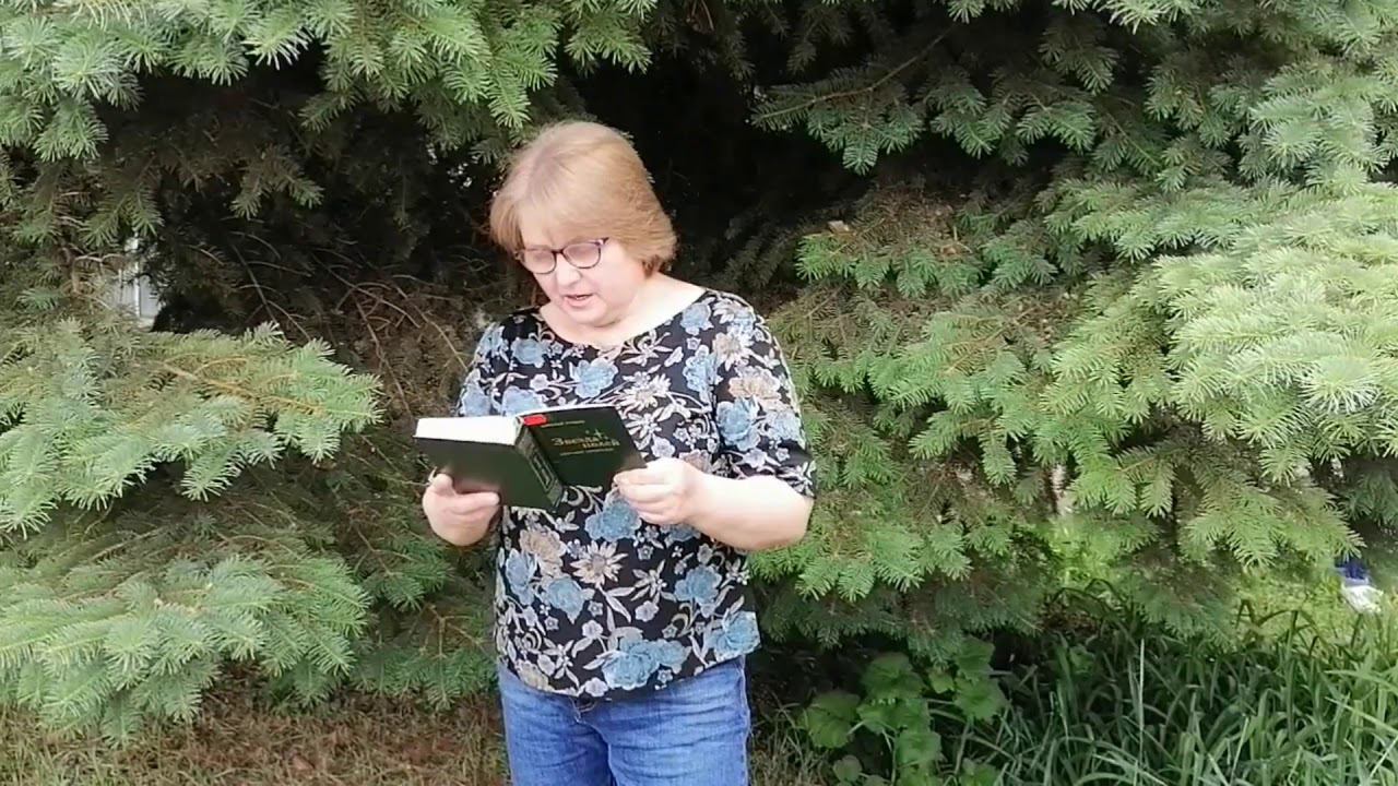 Николай Рубцов "Видение на холме". Читает Косаковская Анна Владимировна. смотреть онлайн