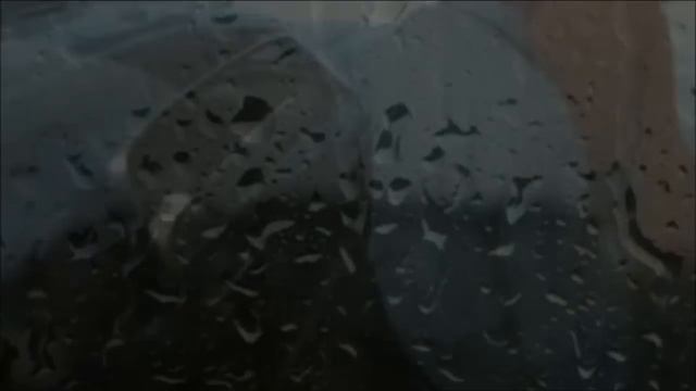 THE DOORS =RIDERS ON THE STORM= смотреть онлайн