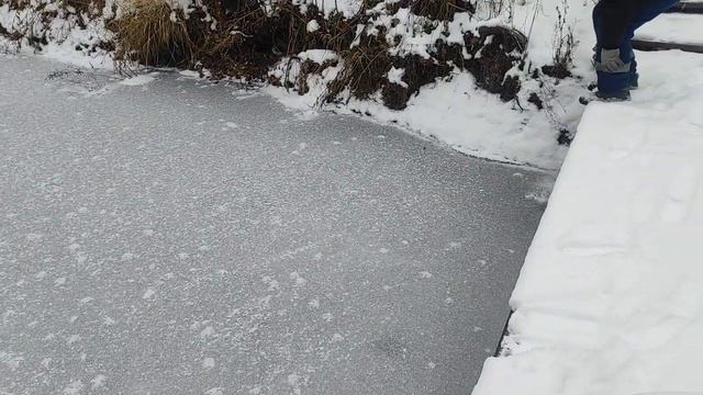Пруд замёрз можно, можно ходить по льду смотреть онлайн