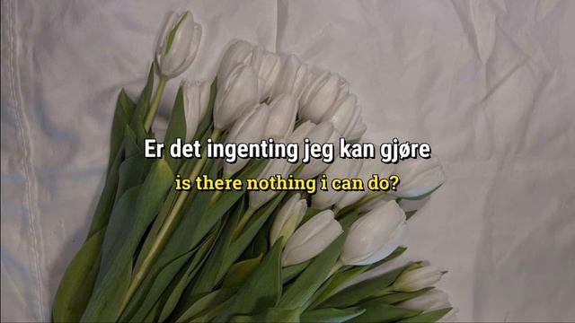 girl in red- alt jeg ser (lyrics - eng sub) смотреть онлайн
