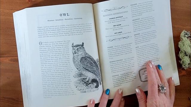 My Life with Tarot February?Books, Magical Practice, Tarot Decks, Life Stories смотреть онлайн