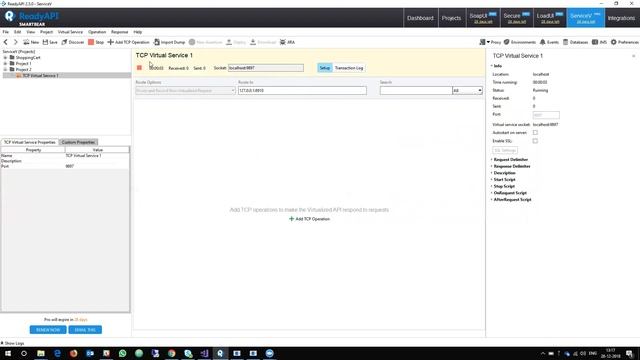 TCP virtualization with SmartBear ReadyAPI ServiceV Pro смотреть онлайн