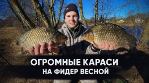 Ловля карася весной  |  Прикормка на крупного карася