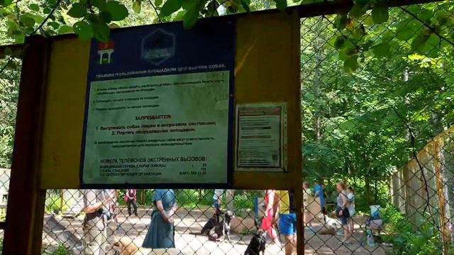 Пироговский лесопарк. Мытищи. смотреть онлайн