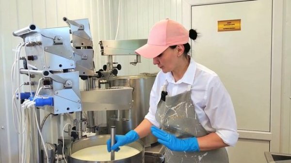 Сыр "Green Douglas" (Авт) /Частная сыроварня "Сыроварня Елисеевых"/Оборудование для сыроварни Maggi