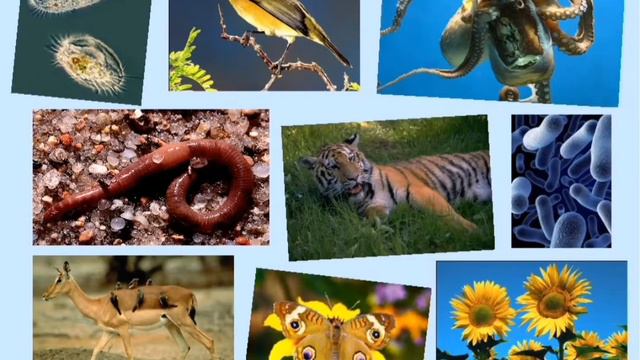 ПОЧЕМУ УРАН ТАК НУЖЕН ЛЮДЯМ ? смотреть онлайн