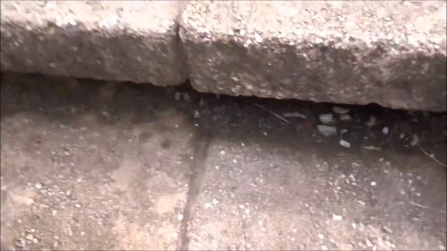 ONE TIME FOR THE BIRTHDAY GIRL|VLOG VACATION смотреть онлайн