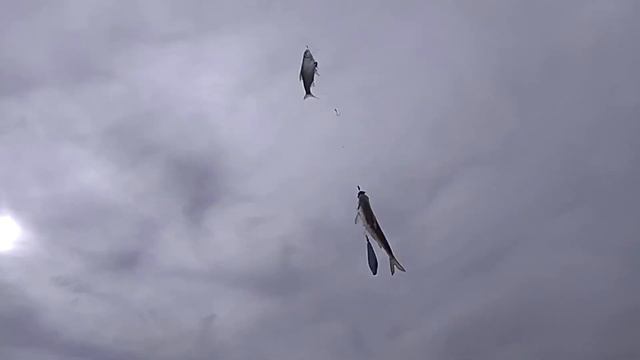 Рыбалка2022.АстраханьВесна.  вобла.Часть1.первые три дня