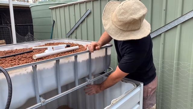 The Problem with Bell Syphons, Aquaponic System Part 3.5 Troubleshooting with Hoocho смотреть онлайн