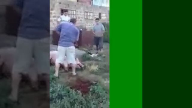 убой свинья. смотреть онлайн