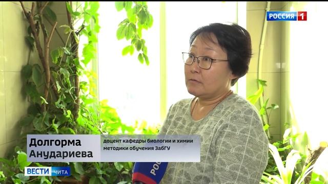 Вместо плодородных полей горы мусора: кто ответственен за свалку в Домне-Ключи смотреть онлайн