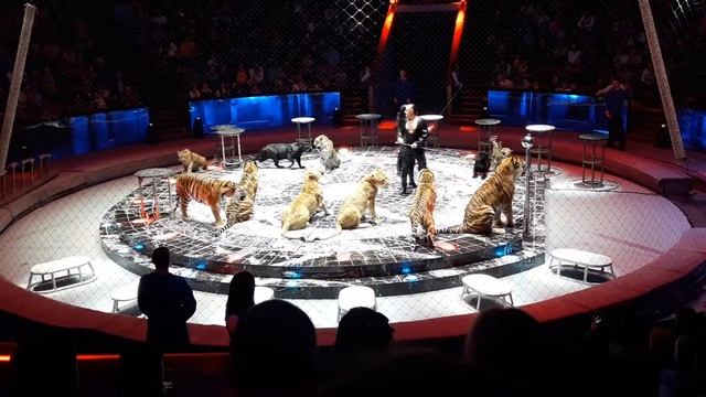 Принцесса несмеяна.Цирк на Вернадского(2) смотреть онлайн