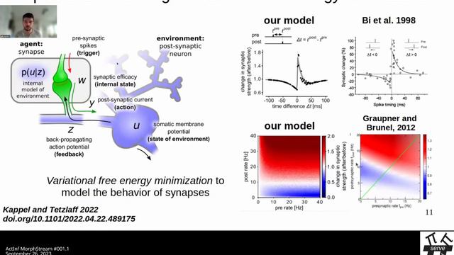 ActInf MorphStream 001.1 ~ David Kappel and Sarah Hamburg смотреть онлайн