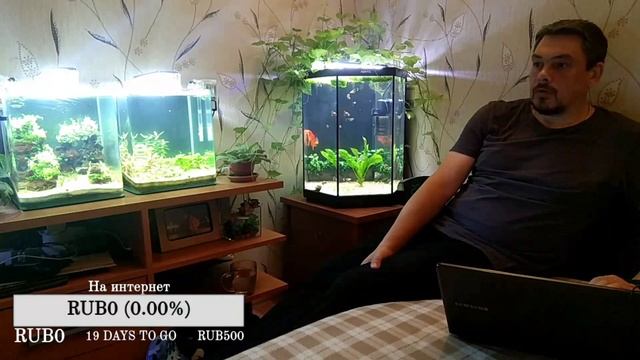 #Территория_комфорта Почему гуппи Эндлера? смотреть онлайн