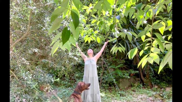 «Пробуждайтеся» Технология приглашения к гармонии души, духа и плоти. Омоложение клеток. смотреть онлайн