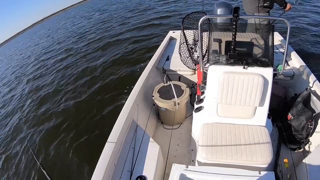 Speckled Trout CRUSHING Hard-plastic Baits!