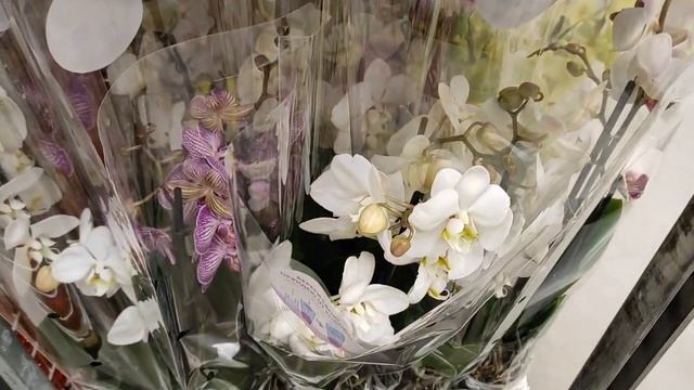 Бауцентр шокирует ценами. Уценка, тоже удивляет смотреть онлайн
