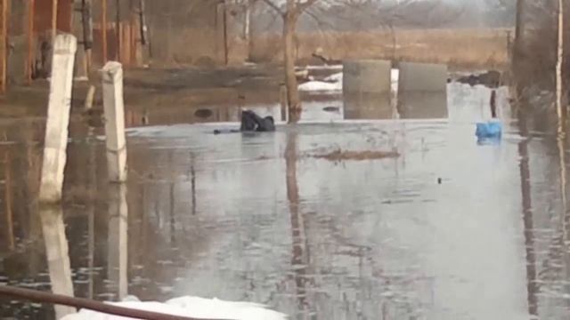 Пьяный алкаш упал весной в воду