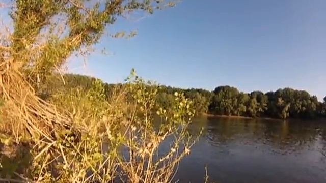 Ловля жереха. Жерех спиннингом на поппер. смотреть онлайн