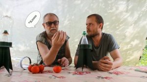 Боремся с вредителями. Мраморный клоп