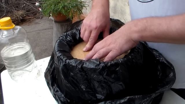 Йога и Фитнес для Начинающих