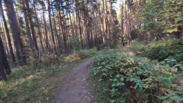 Прогулка через лесопарк ,иду с работы. смотреть онлайн