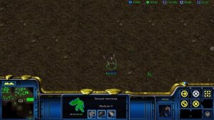 Обзор фракций Starcraft. Протоссы