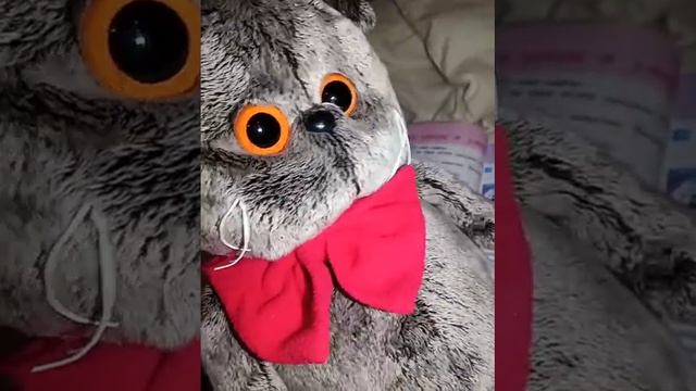 Моя история как я появился дома у своей хозяйки🏠/семейка БАРСИКОВ🐱🐈 смотреть онлайн