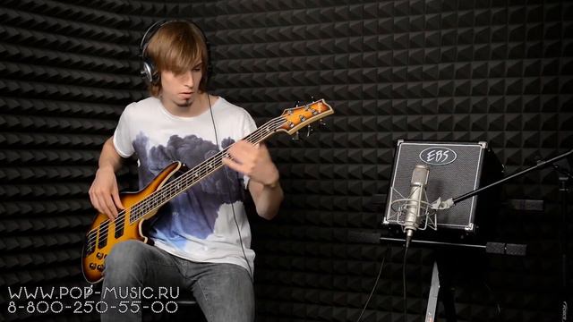 Басовый комбо EBS Classic Session 30 30 Watt Bass Combo Amp смотреть онлайн