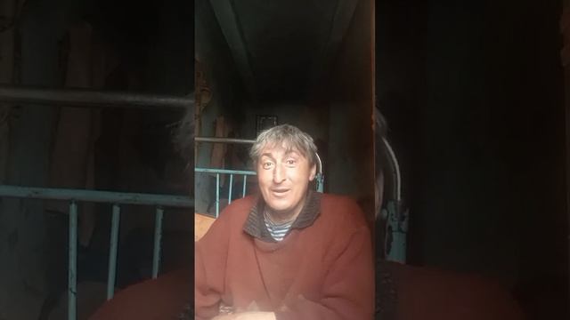песня красную шапочку я подарю, той, что вот будет лишь в сердце смотреть онлайн