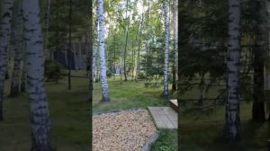 Как провести выходные в Zavidovo Radisson. Большая прогулка по территории курорта Завидово.