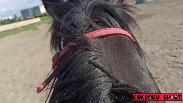 Ак-Кула ат майданын сагындынарбы??? смотреть онлайн