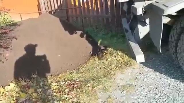 Доставка чернозема 10 тонн смотреть онлайн