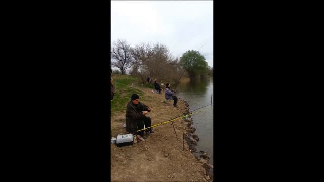 Ловим воблу с удовольствием. Апрель 2017г смотреть онлайн