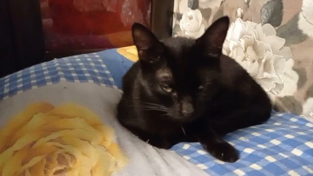  смотреть онлайн