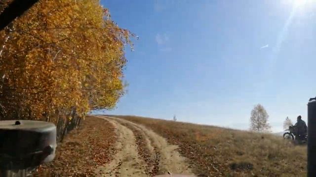 Донг фенг 504 G3 Везем дрова смотреть онлайн