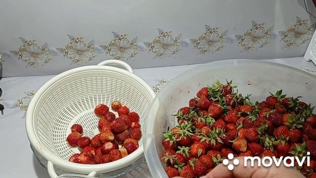 Как заморозить клубнику на зиму в морозильной камере без сахара целиком смотреть онлайн