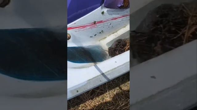 First Wash And Start In 20 Years